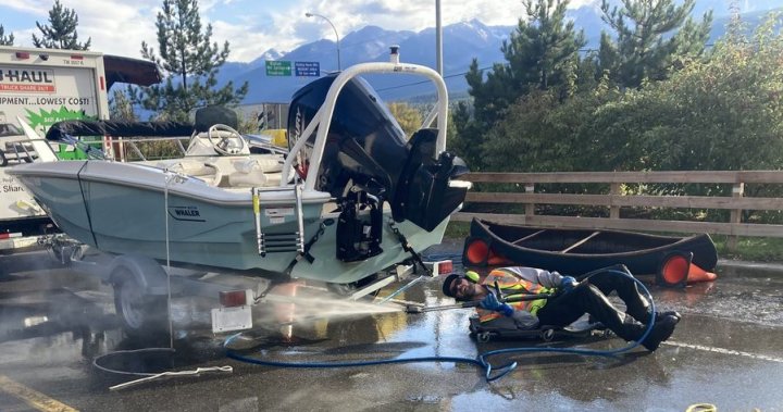 B.C. inspection station quarantines Ontario boat after invasive mussels found