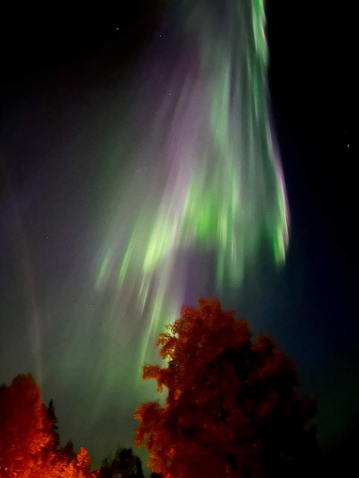 Northern Lights in Alberta.