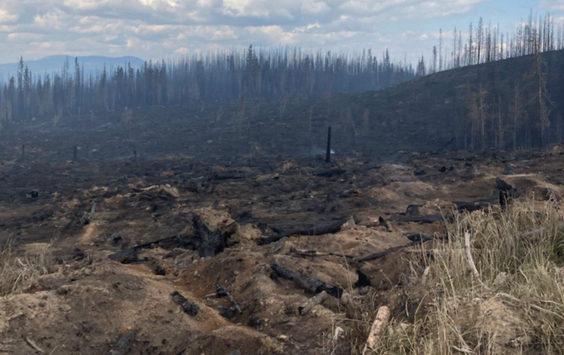 File photo of charred land from the Bush Creek East wildfire.