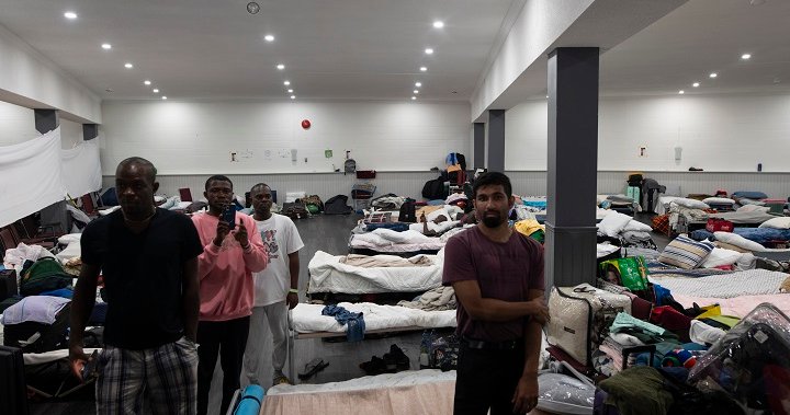 Watchdog to probe Toronto policy to direct shelter-seeking refugee claimants to feds
