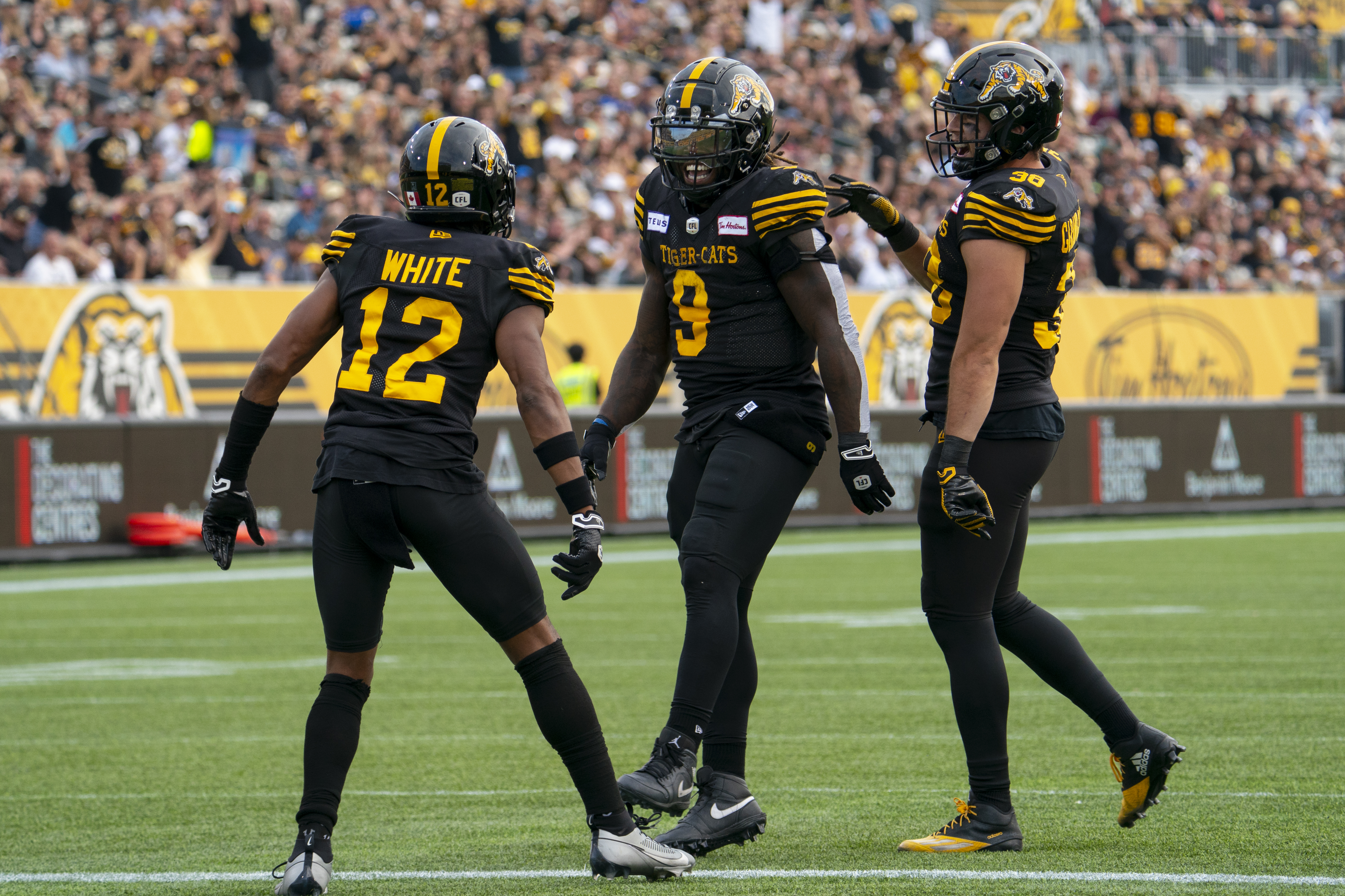 CFL Result: Hamilton Tiger-Cats Triumph Over Calgary Stampeders 22-15,  Secures Playoff Spot