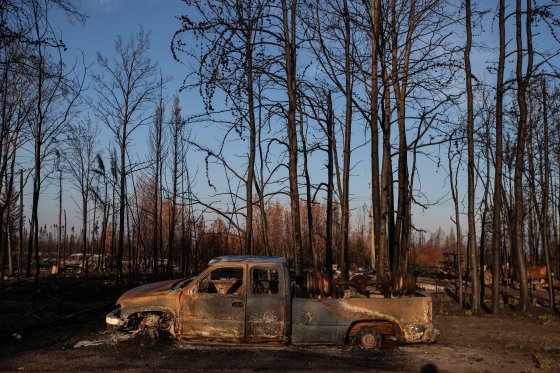 A burned out car is pictured amid a scorched forest.