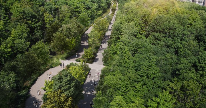 Гробището в Монреал обмисля правни действия срещу плана на града да забрани превозни средства от пътищата