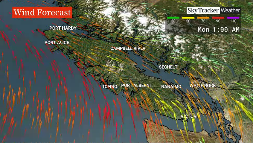 Fall Storm Season Arrives, Weather Alerts In Effect For Parts Of B.C ...