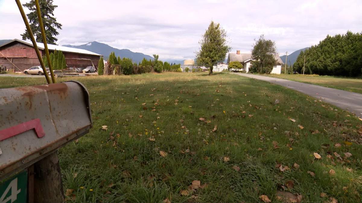 Qingwei Wang's farm in Chilliwack, B.C.