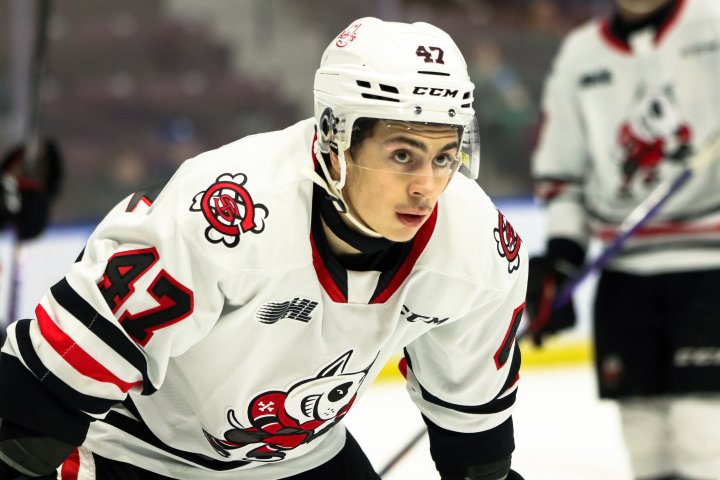 London Knights make another trade with Niagara IceDogs