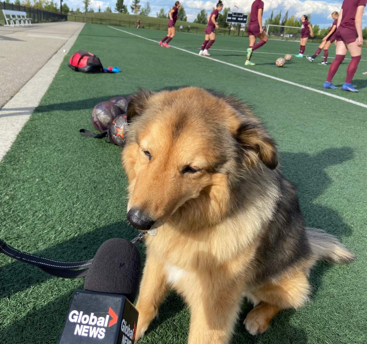 We asked Dianne her thoughts on being a superstar. She told me us does it all for the pets… oh and the treats. Don’t forget those.