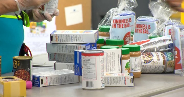 Toronto food bank sees a quarter-million visits in August