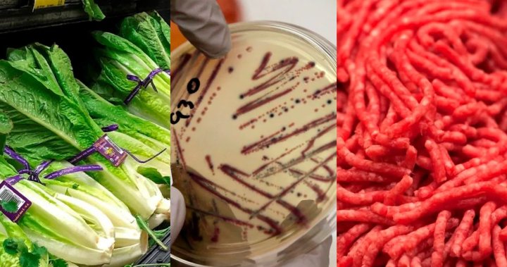 Walkerton and XL Foods: A look at some of the major E. coli outbreaks in Canada
