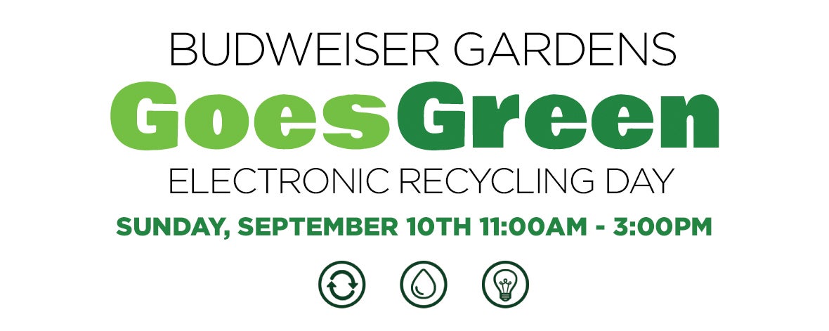 Electronic Recycling Day - image