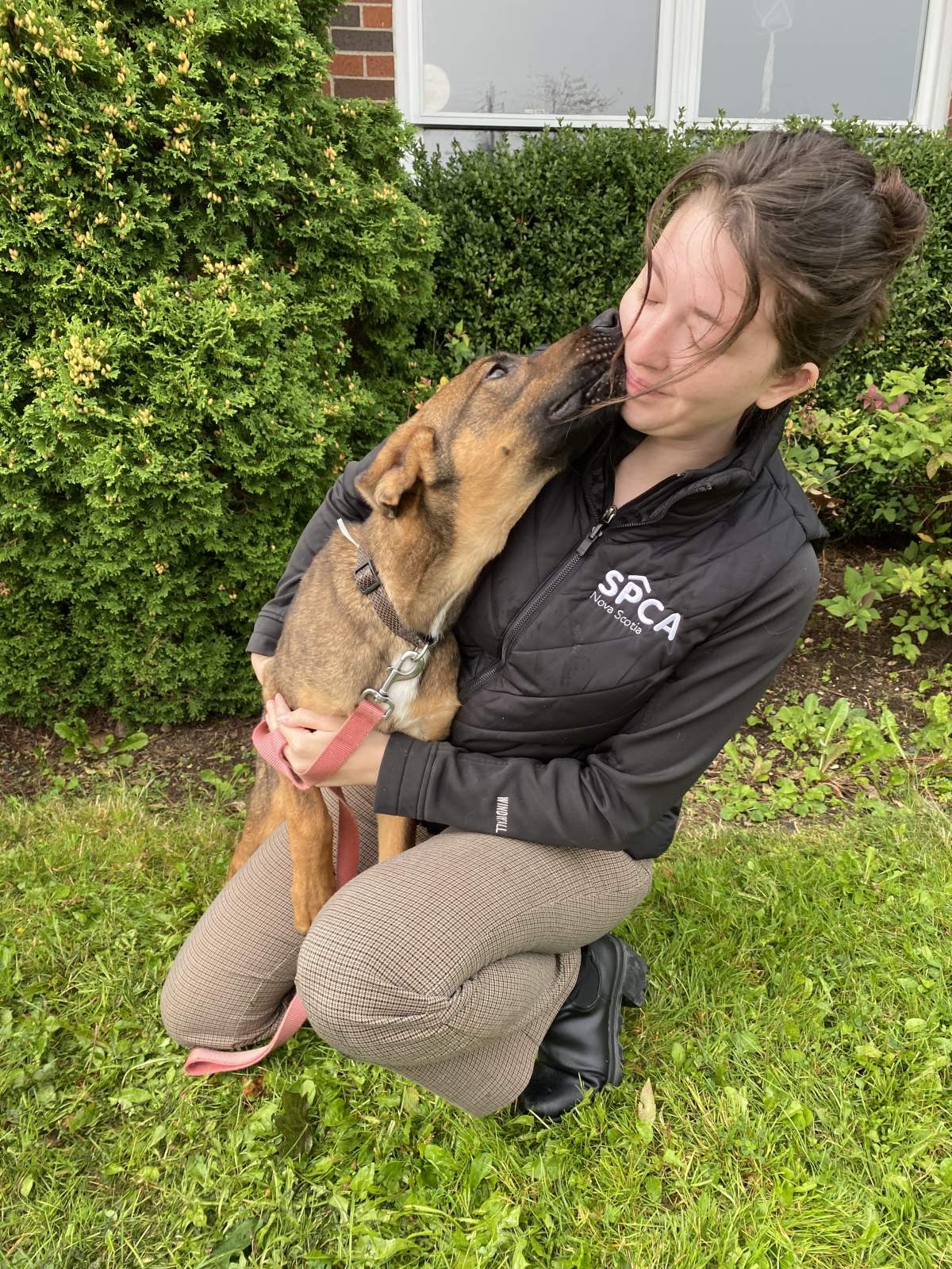 Another rescued dog, named Falco, expresses their excitement with a Nova Scotia SPCA worker after arriving in a new province.