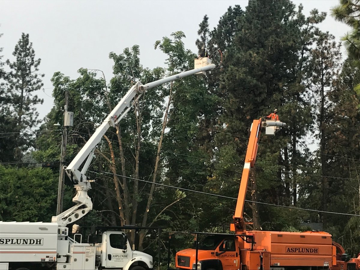 ‘It’s heartwrenching,’ Kelowna homeowners say of Fortis BC’s tree