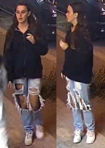 Investigators are seeking assistance identifying the woman involved in a North York pizza delivery scam.
