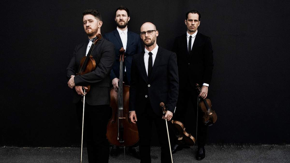 The Fretless - image