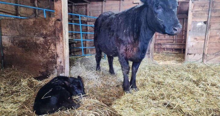 Your Saskatchewan photo of the day: September 2023