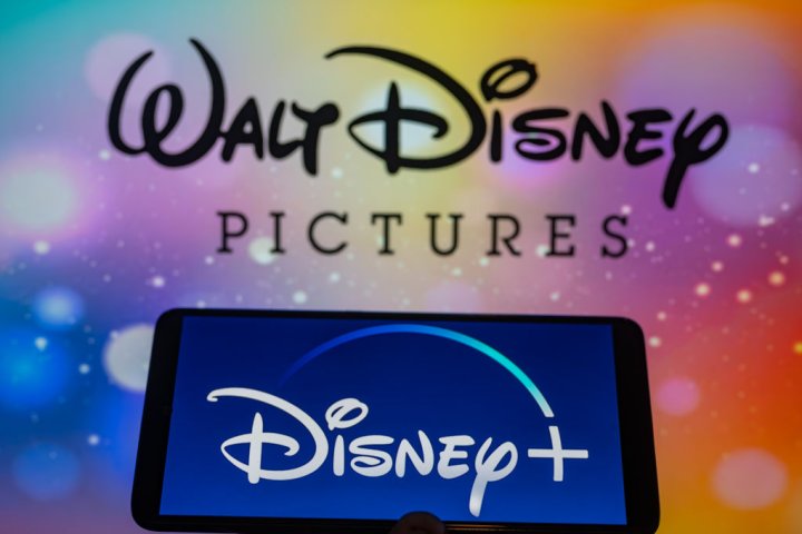 The days of sharing your Disney+ password are coming to an end