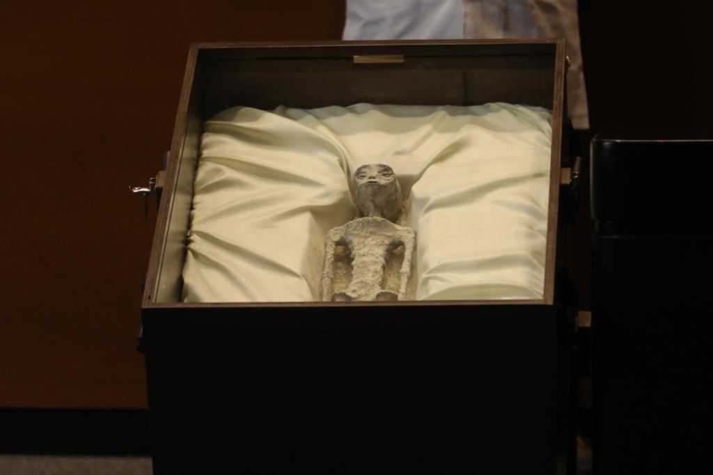 A view of one of the alleged bodies of 'non-human' beings as of a group of international experts hold a hearing in Mexico's lower house to discuss extraterrestrial sightings in Mexico City, Mexico on September 13, 2023.