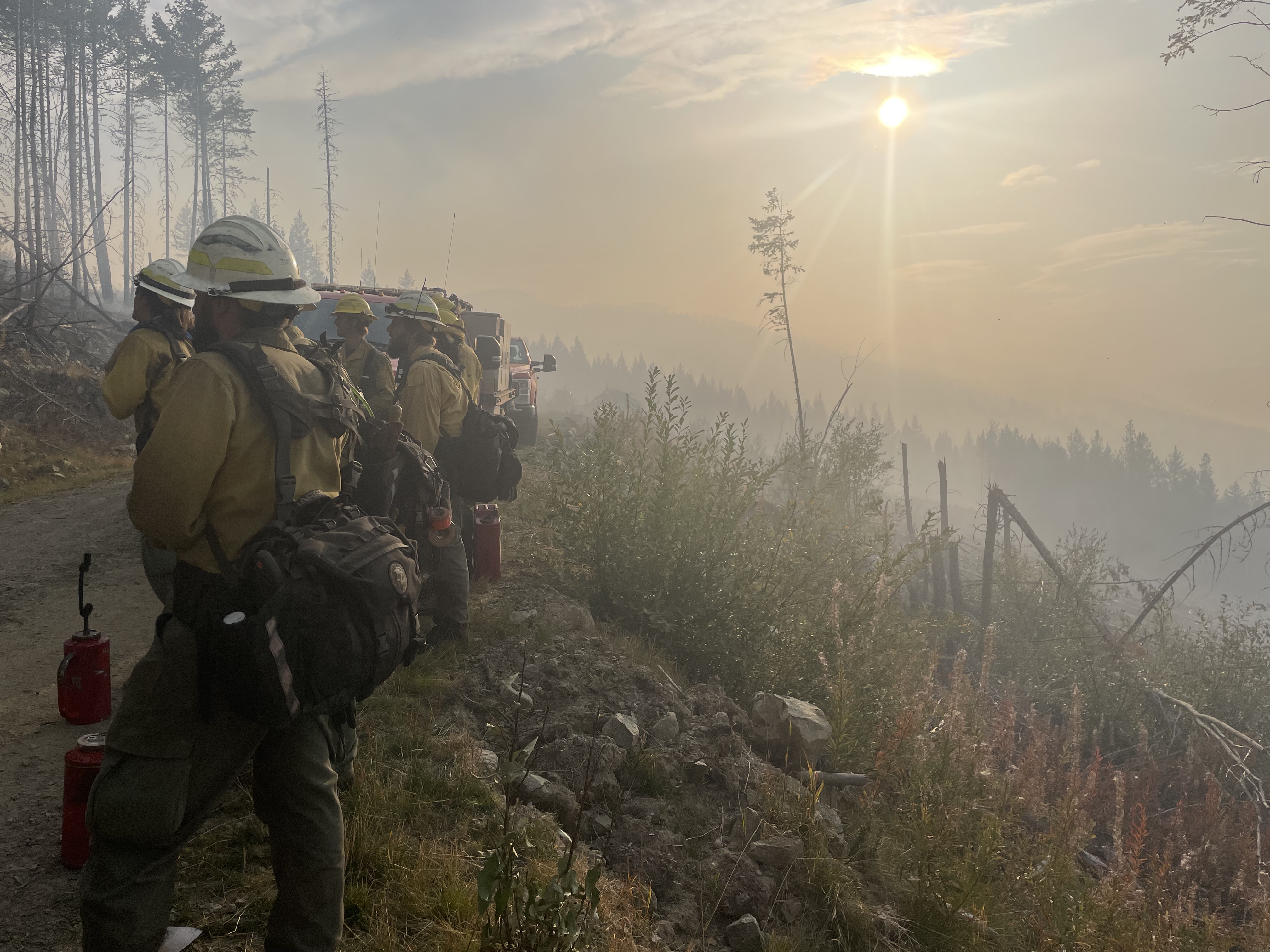 Външна помощ пристига за борба с горските пожари в Британска