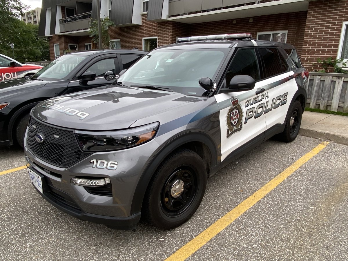 A pair from Guelph were caught with over $800 worth of controlled substances on them after trying to steal merchandise from a business on Friday.