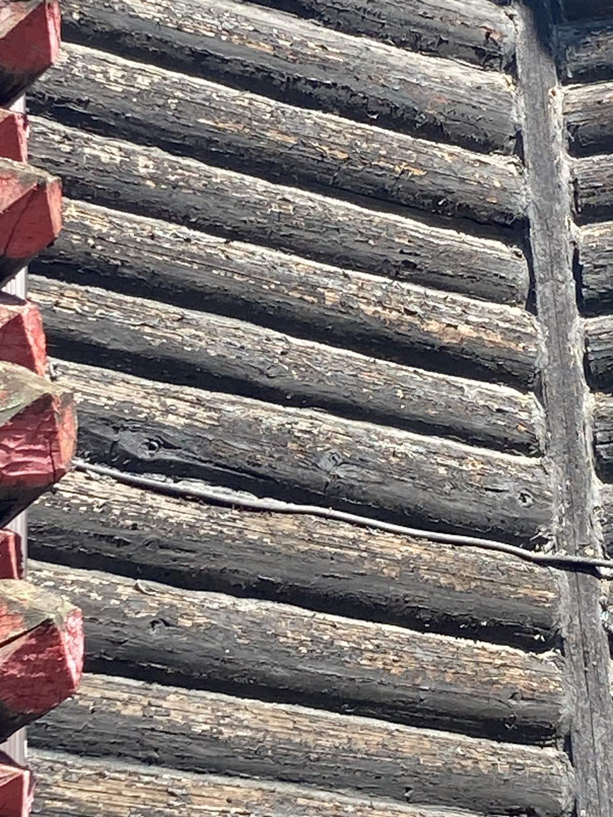 Chateau Montebello exterior shows weather-beaten wear and tear.