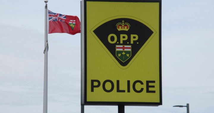 新手驾驶员在布赖顿附近的翻车事故中面临另一项指控：北安大略省警察部队
