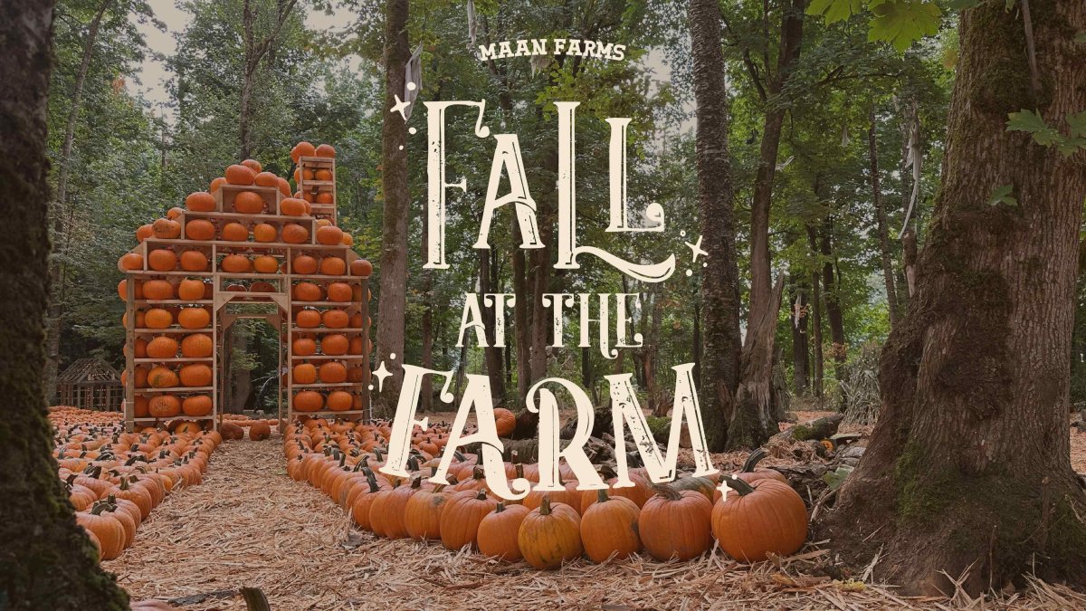 Fall at the Farm - image