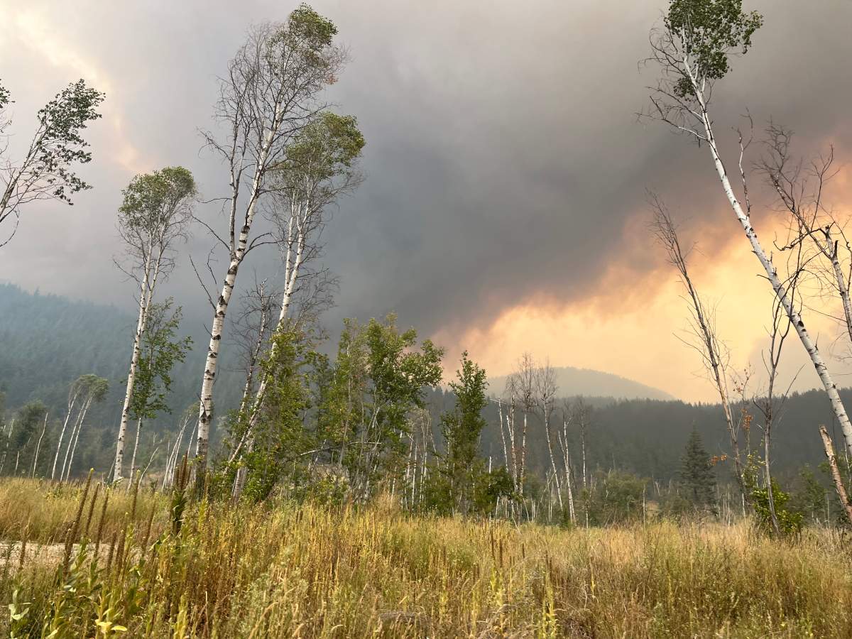 More than 10,000 residents were forced to evacuate their Shuswap-area properties due to the  Bush Creek East wildfire, which tore through the region on Aug. 18, destroying an estimated 176  homes.
