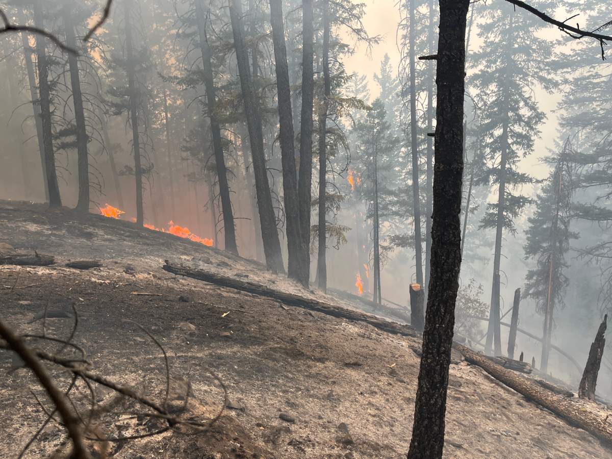 More than 10,000 residents were forced to evacuate their Shuswap-area properties due to the  Bush Creek East wildfire, which tore through the region on Aug. 18, destroying an estimated 176  homes.