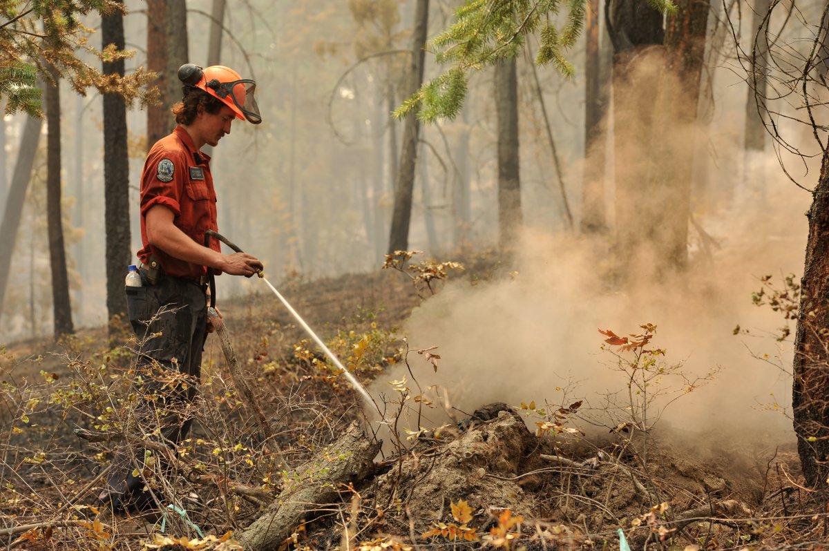 File photo of a BC Wildfire Service firefighter battling the McDougall Creek wildfire.