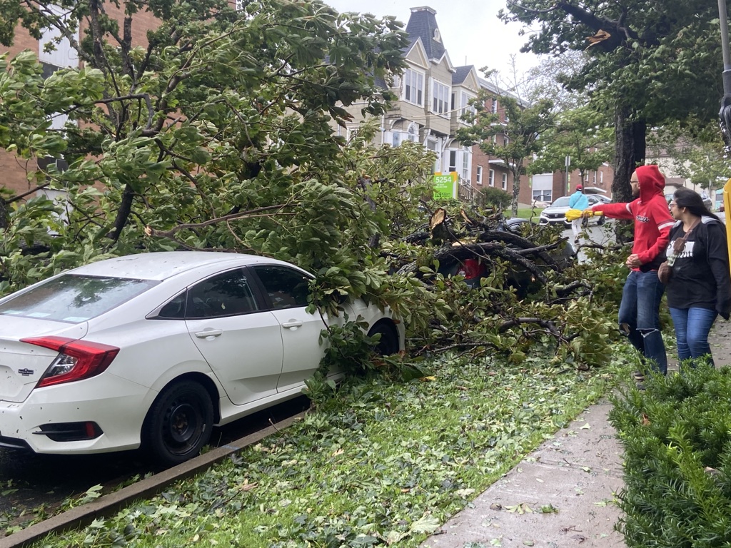 Post tropical cyclone Lee has brought high winds and heavy rain to the Maritimes. Residents look at some downed trees on Kent Street in the south end of Halifax on Sept. 16, 2023.