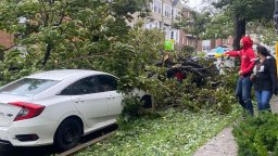 Post tropical cyclone Lee has brought high winds and heavy rain to the Maritimes. Residents look at some downed trees on Kent Street in the south end of Halifax on Sept. 16, 2023.