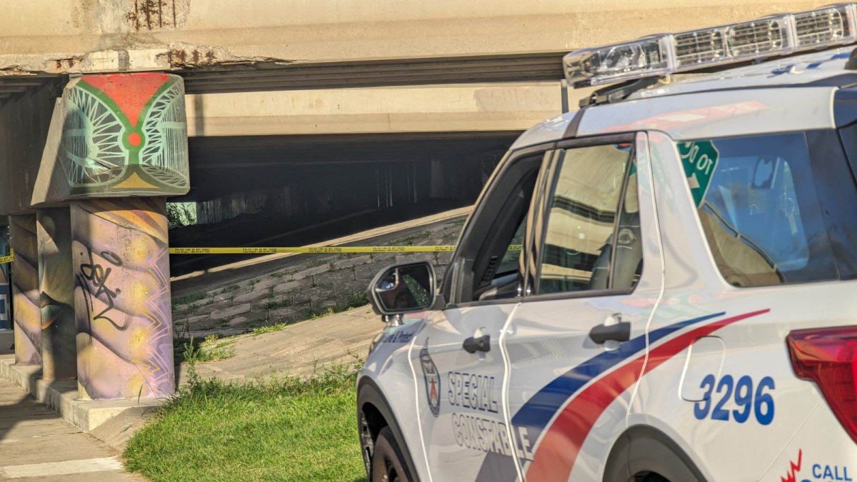 A person is dead after a fire under a Toronto bridge, police say.