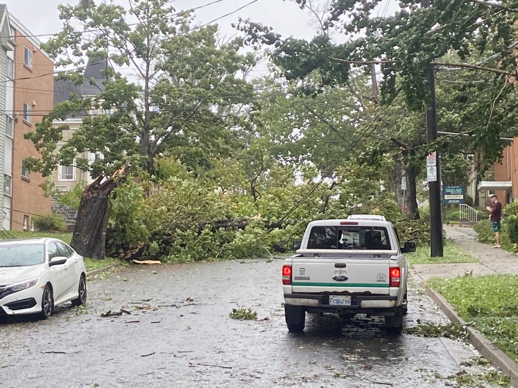 Post tropical cyclone Lee has brought high winds and heavy rain to the Maritimes. The winds downed trees on Kent Street in the south end of Halifax on Sept. 16, 2023.