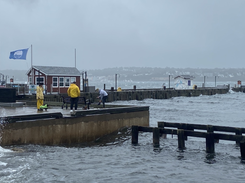 People gathered on the Halifax waterfront as post-tropical storm Lee lashed the coast despite warnings from officials.