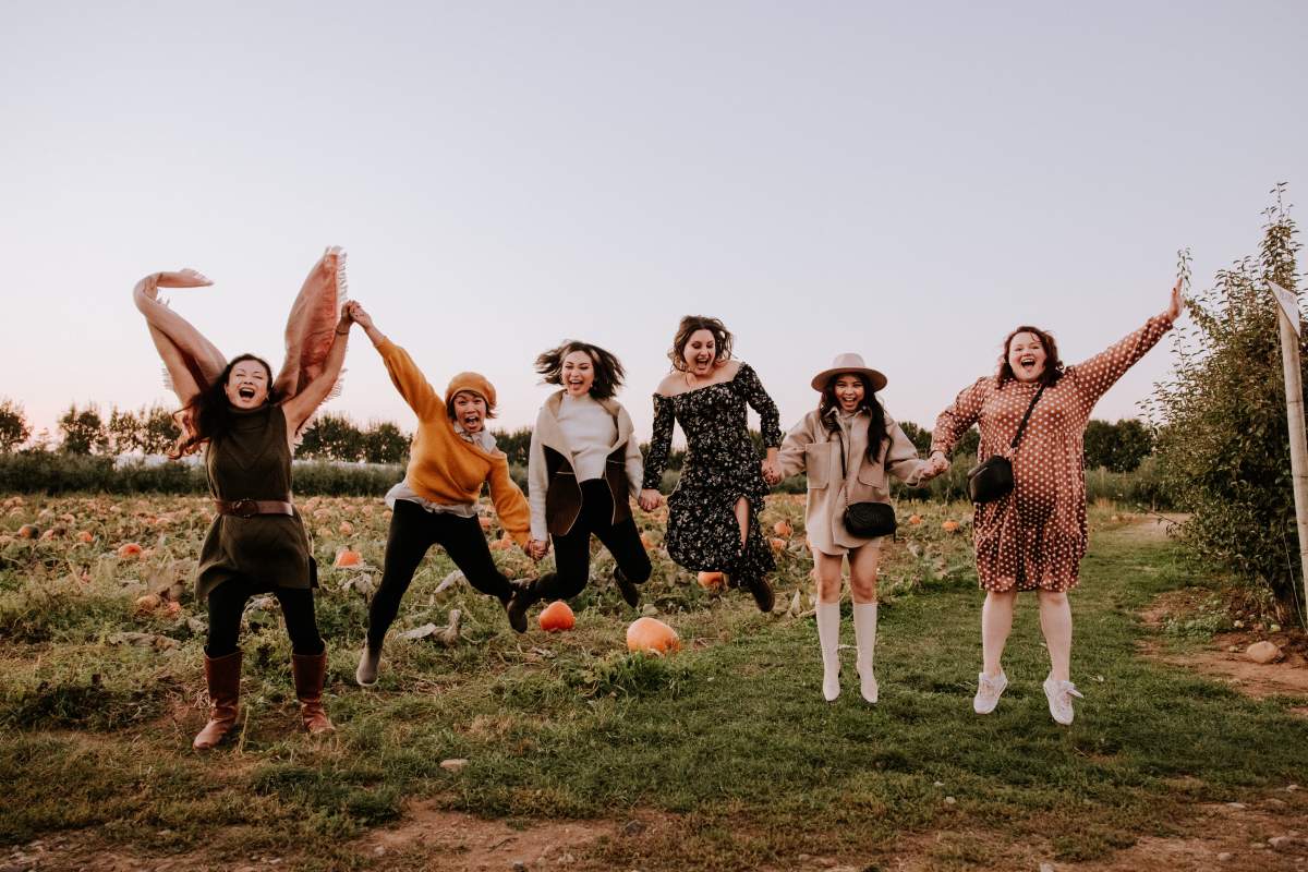 Pumpkin Attractions at Taves Family Farms - image