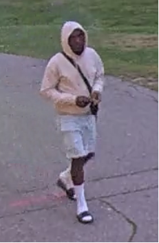 Suspect sought after girl, 14, sexually assaulted at Brampton park, police say