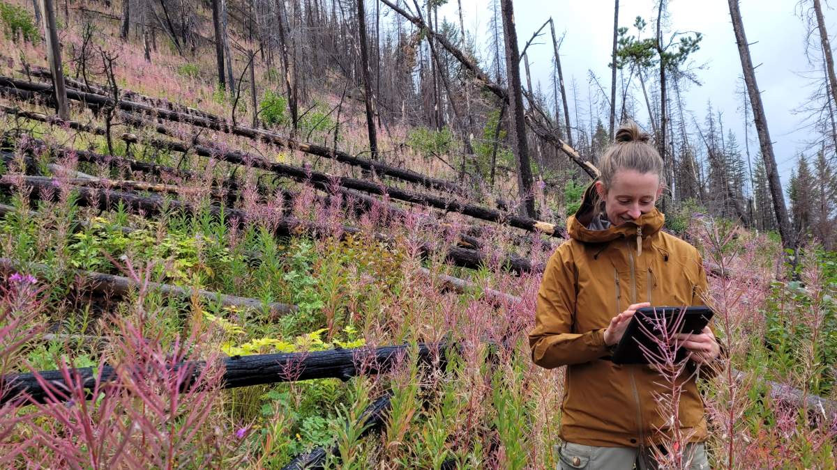 A woman charts work on an ipad