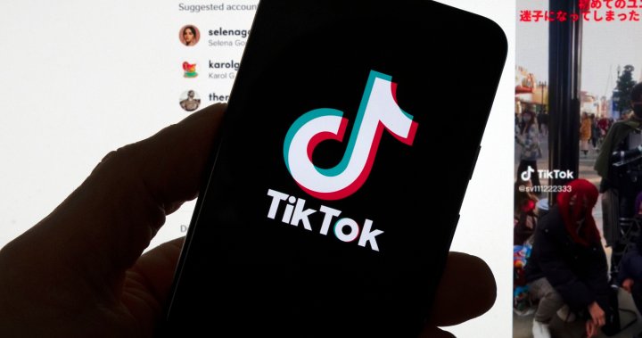 Despite bans, TikTok partnerships plentiful in Canada
