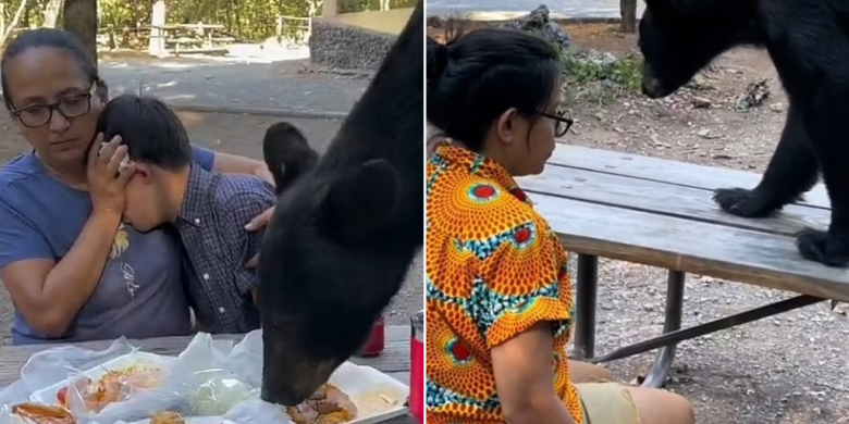Family freezes as uninvited black bear feasts on birthday meal in Mexico