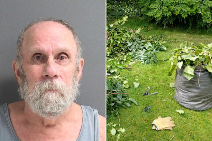 78-year-old accused of killing neighbour over tree-trimming dispute in Florida