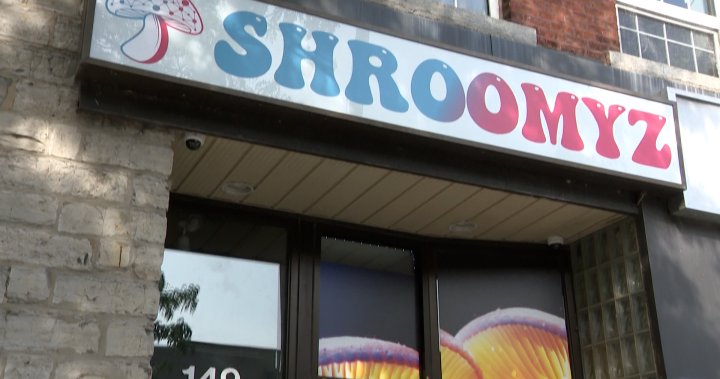 Shroomyz, a psychedelic mushroom dispensary, opens in Kingston - Kingston | Globalnews.ca