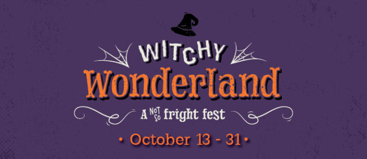 Witchy Wonderland - image