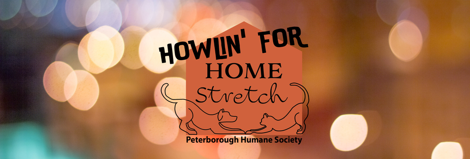 Howlin’ For Home Stretch - image