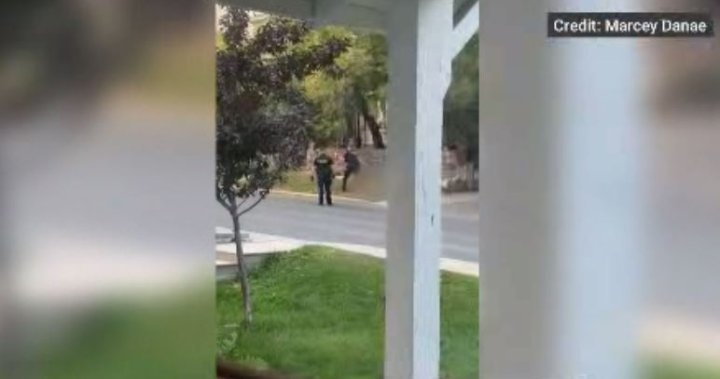 ‘Disturbing’ video shows officer strike deer with an axe, OPP investigating