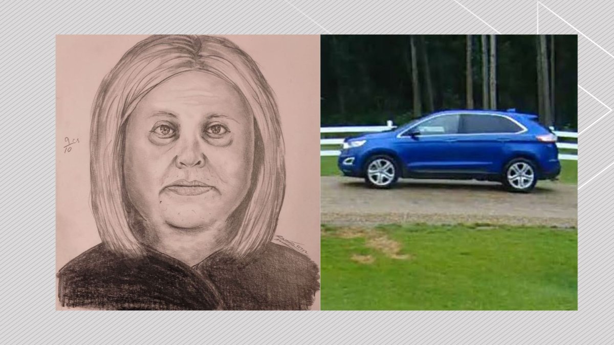 Wetaskiwin RCMP have released a composite sketch of a suspect in a possible abduction attempt in Pigeon Lake, Alta.