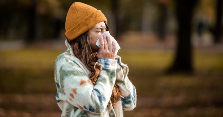 How bad could allergies get this fall? What Canadians can expect