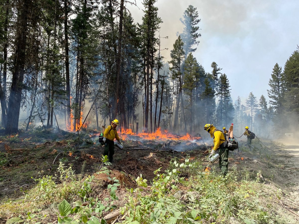 How to manage Canada’s ‘unprecedented’ wildfires before they start ...