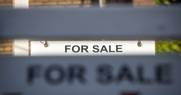 Home sales fell in August. Why that might be good news for buyers