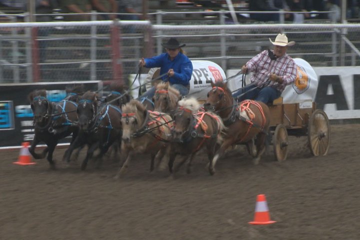 ‘Giddy up ‘n Go’ to the Armstrong Interior Provincial Exhibition