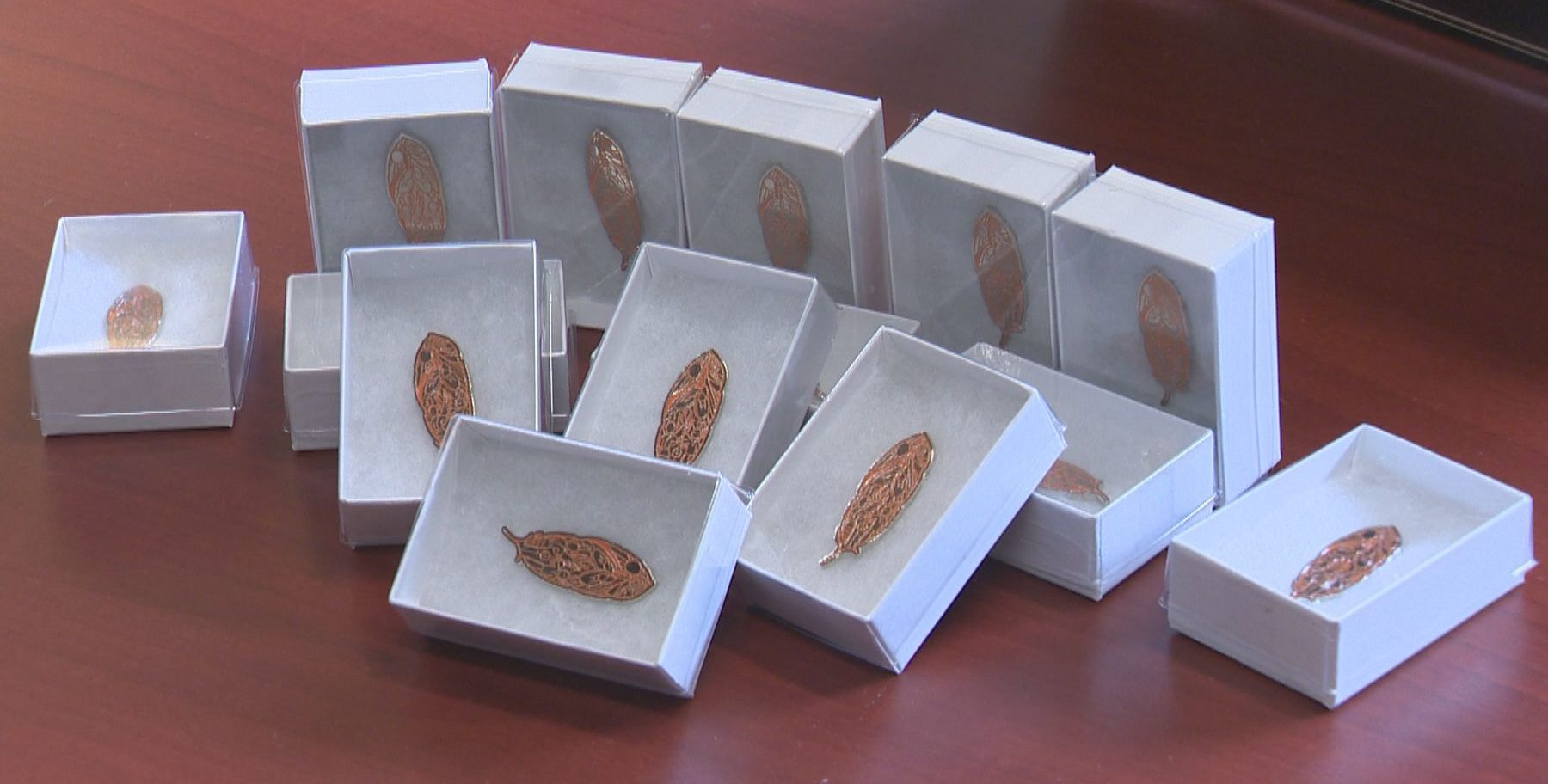 Orange feather pins project kicks off in Regina with Orange Shirt Day coming up  | 24CA News